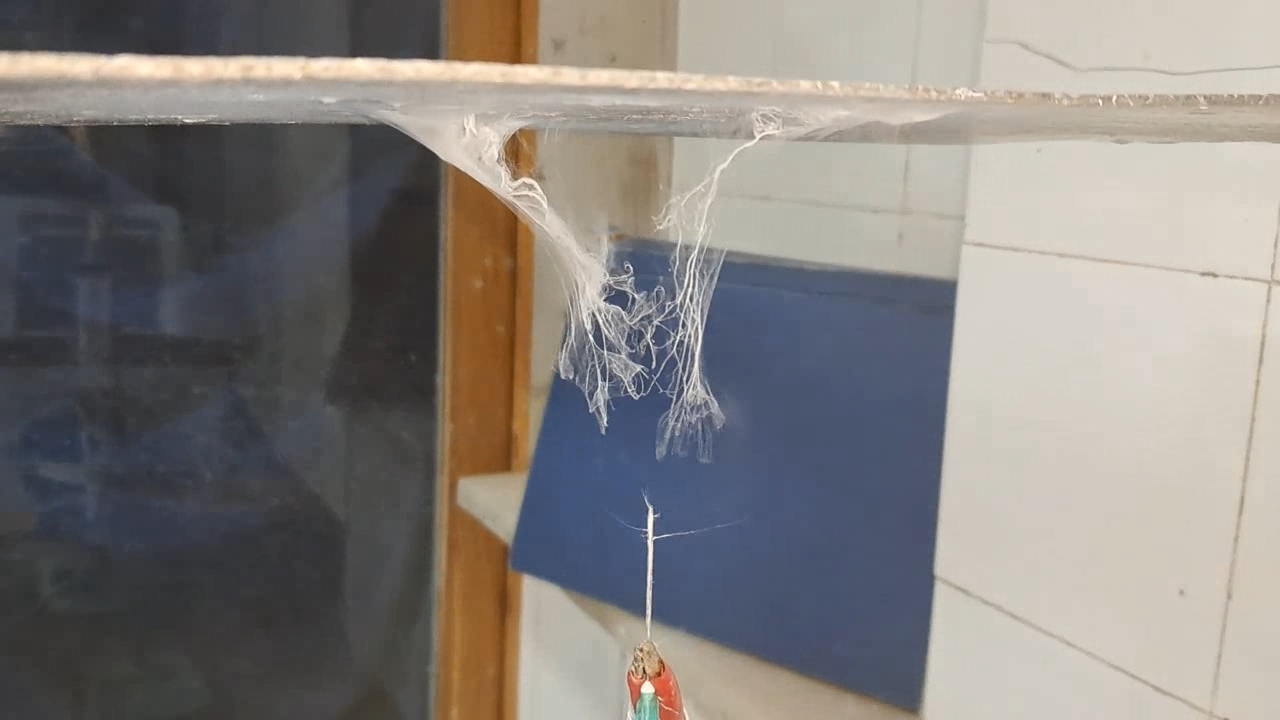 Electrospinning: Solutions of Polystyrene and Polyvinylidene Difluoride in Dimethylformamide